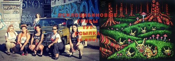 кокс Алексеевка