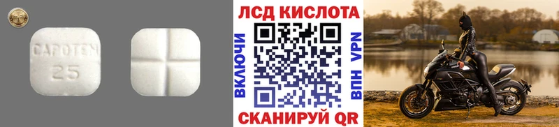 даркнет как зайти что такое Заводоуковск LSD-25 экстази кислота