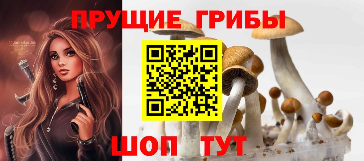 Псилоцибиновые грибы прущие грибы  закладки  Заводоуковск  Вход с VPN 